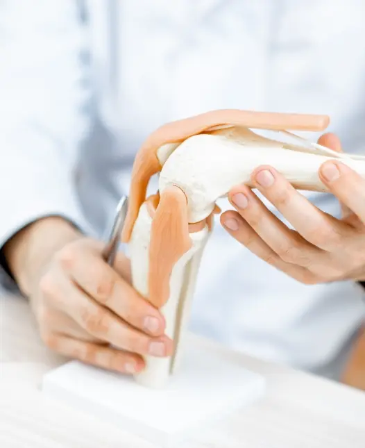 Orthopädie in Düsseldorf